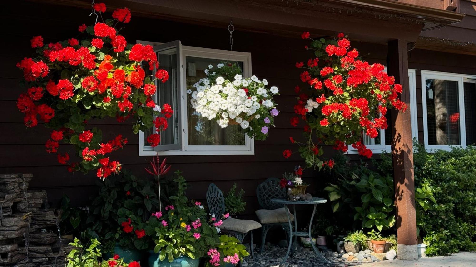 Garden Bridge House Villa Sechelt Exteriör bild